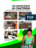 uso de plantas medicinais da caatinga.pdf