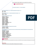 1pluriel2 PDF