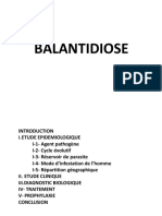 13 C Balantidiose