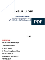 Anguillulose L3