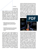 Dolor PDF