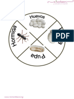 Ciclo de La Vida de Una Hormiga Letra Imprenta