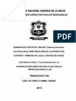 Tesis Biomasa de Planta Tahuari POR LEYDI FLORES LOZANO Salud PDF