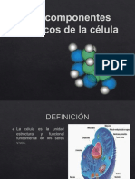 Componentes Quimicos de La Celula