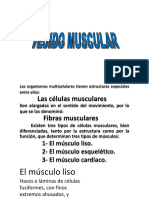 Musculo Primera Parte