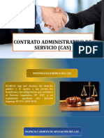 Contrato Administrativo de Servicio (Cas)
