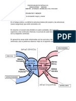 Tema 5-Biologia-Septimo-Trimestre-2