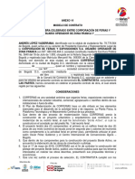 14-anexo-modelo-de-contrato.pdf