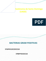 Bacterias Gram Positivas: Staphylococcus y Streptococcus