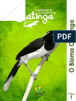 Livro Caatinga.pdf