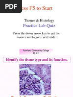 Tissues Practical Exam