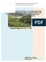 TDR formulacion lauricocha_PARA PERFIL Y EXPEDIENTE.docx