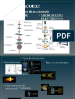 El Microscopio