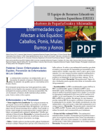 Diseases-that-Affect-Horses-Spanish.pdf