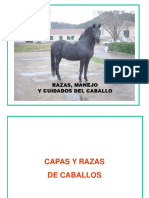 razas_manejo_y_cuidados_del_caballo.pdf