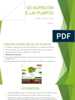 Esta - FUNCIÓN NURICIÓN DE LAS PLANTAS