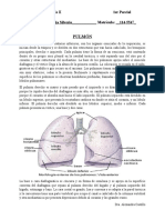 Manual Fisio II