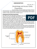 3 - Tooth Morphology and Access Cavity Preparation PDF