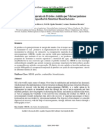 Recuperación Mejorada de Petróleo Asistida Por Microorganismos Con Capacidad de Sintetizar Biosurfactantes