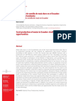 Producción de Semilla de Maíz Duro en El Ecuador: Retos y Oportunidades
