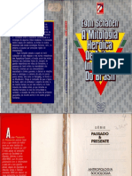Schaden 1988 AMitologiaHeroicaTribosBr PDF