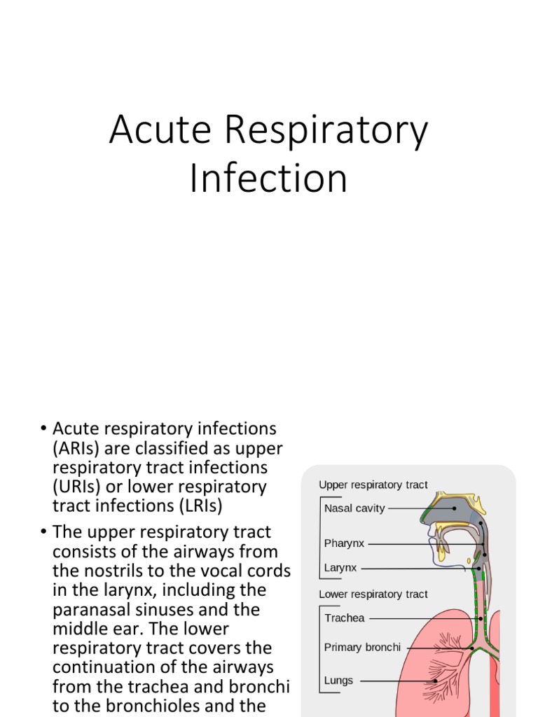 Acute Respiratory Infection Overview | PDF | Respiratory Tract | Pneumonia
