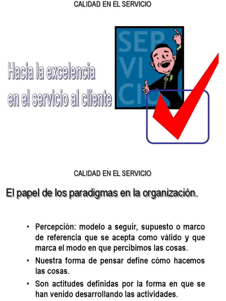 Hacia La Excelencia En El Servicio Al Cliente Pdf Cliente Calidad