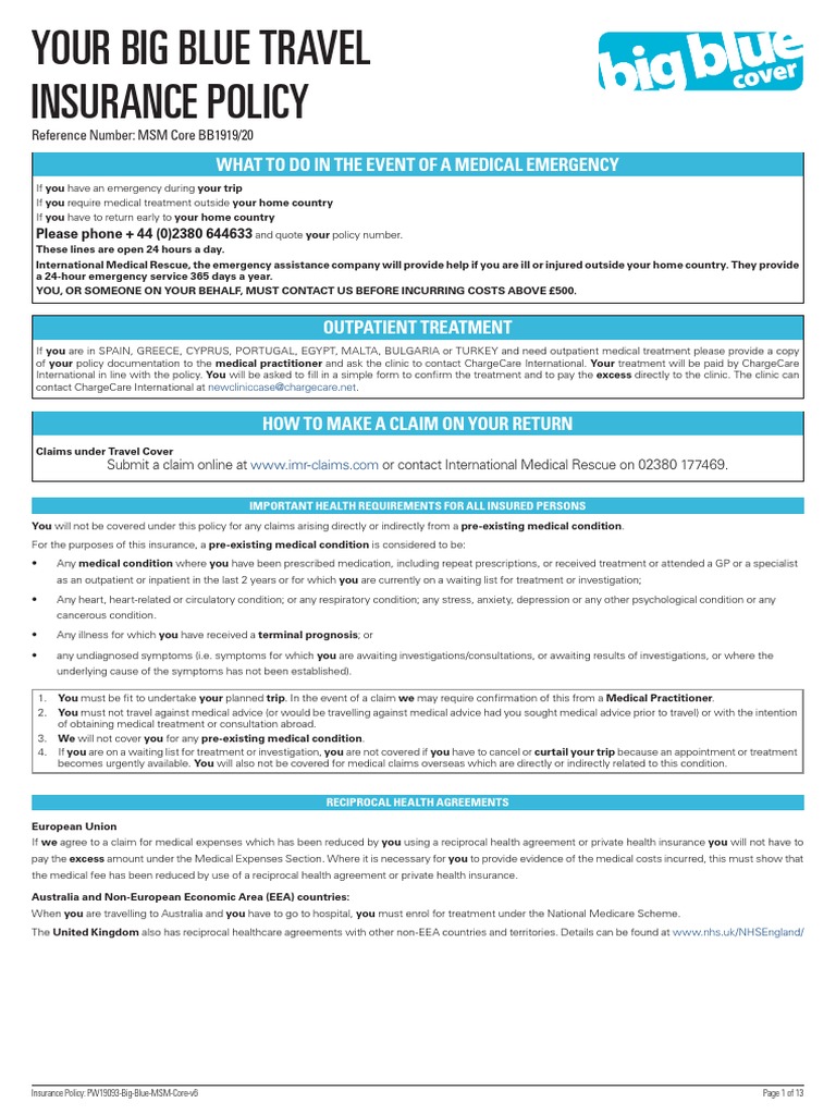 Big Blue Travel Insurance Policy BB1919 | PDF | Insurance | Fraud