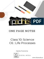 One Page Notes: Class 10: Science C6: Life Processes