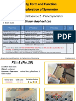 Beauty, Form and Function: An Exploration of Symmetry: Shaun Raphael Lee