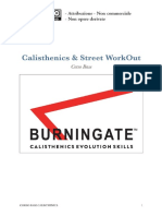 Calisthenics - Base Dispensa PDF