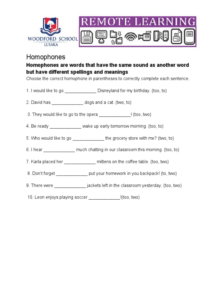 Homophones Practice Exercises | PDF