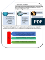 Cuadro Comparativo M.O PDF