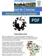 Introduccion A La Zoologia