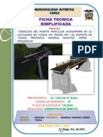 Ficha Simplificada Puente