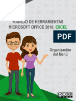Organizacion Excel PDF