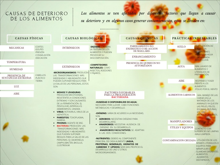 Causas del Deterioro de Alimentos | PDF | Alimentos | Las bacterias