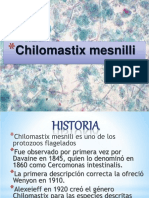 Chilomastix Mesnili