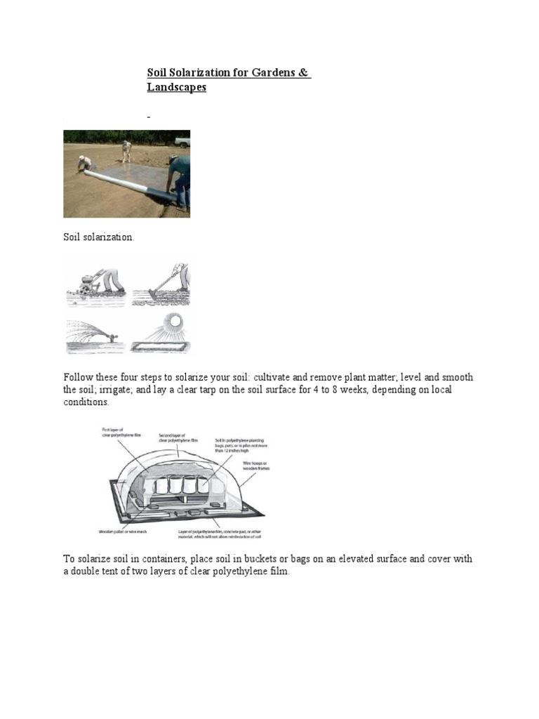 Soil Solarization For Gardens PDF Weed Mulch