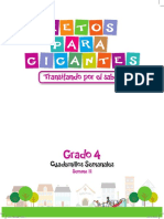 Libro 4 Semana 11 PDF