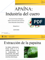 Exposicion Papaina