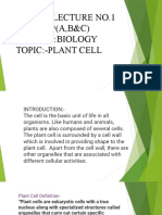 Online Lecture No.1 Class:9 (A, B&C) Subject:Biology Topic:-Plant Cell