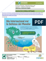 Dia_Internacional_Defensa_Manglar.pdf