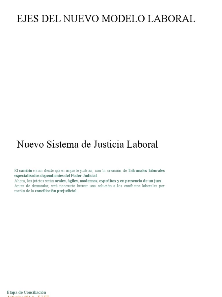 Ejes Del Nuevo Modelo Laboral | PDF | Sindicato | Democracia