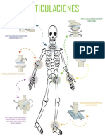 Cuerpo Humano PDF