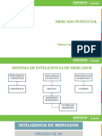 Mercado Potencial (1).pdf