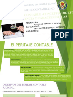 El Peritaje Contable - Concepto, Objeto, Importancia y Características
