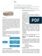 301422628-Alternativas-Para-El-Transporte-y-Tratamiento-de-Crudos-Extrapesados.pdf