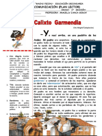 Comunicación-Calixto Garmendia