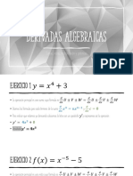 Derivadas Algebraicas PDF